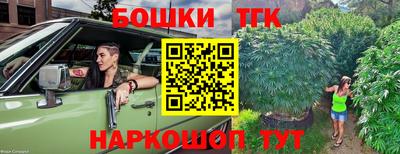 СК Дмитров