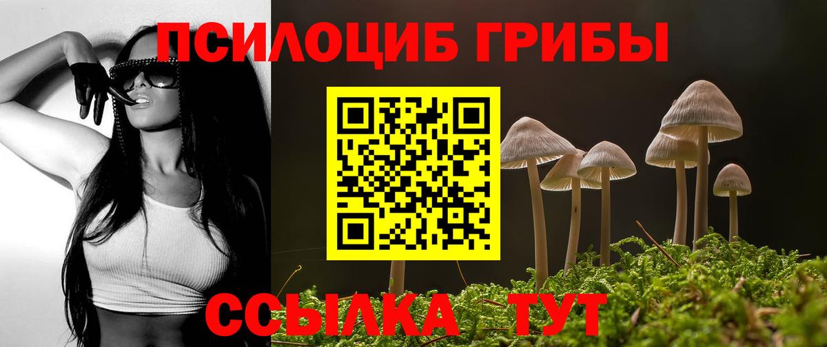 Псилоцибиновые грибы мухоморы Кондопога